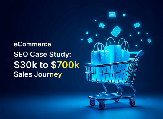 eCommerce SEO Case Study
