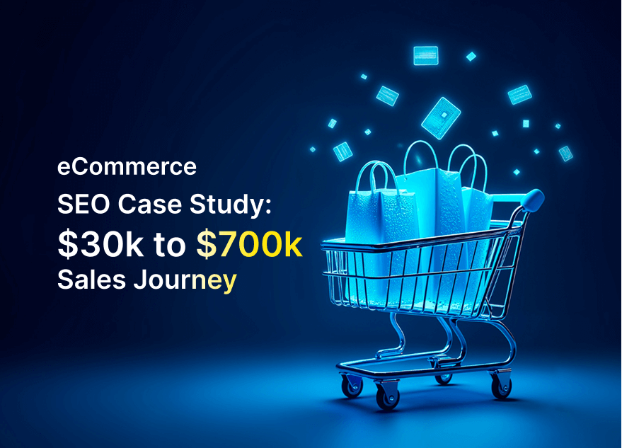 eCommerce SEO Case Study